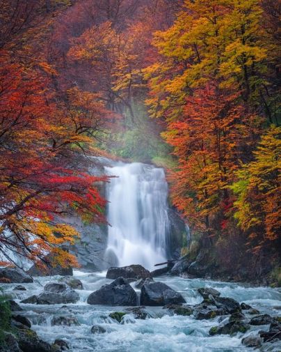 greg-boratyn-autumn's-colors