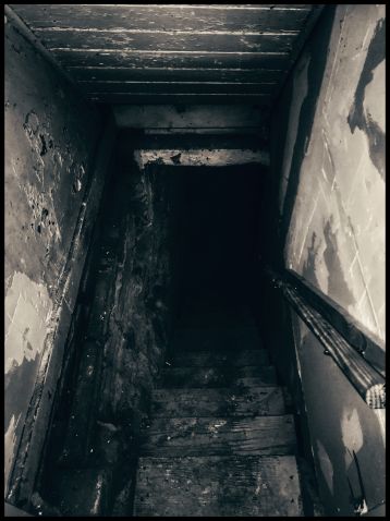 cellar-creepy